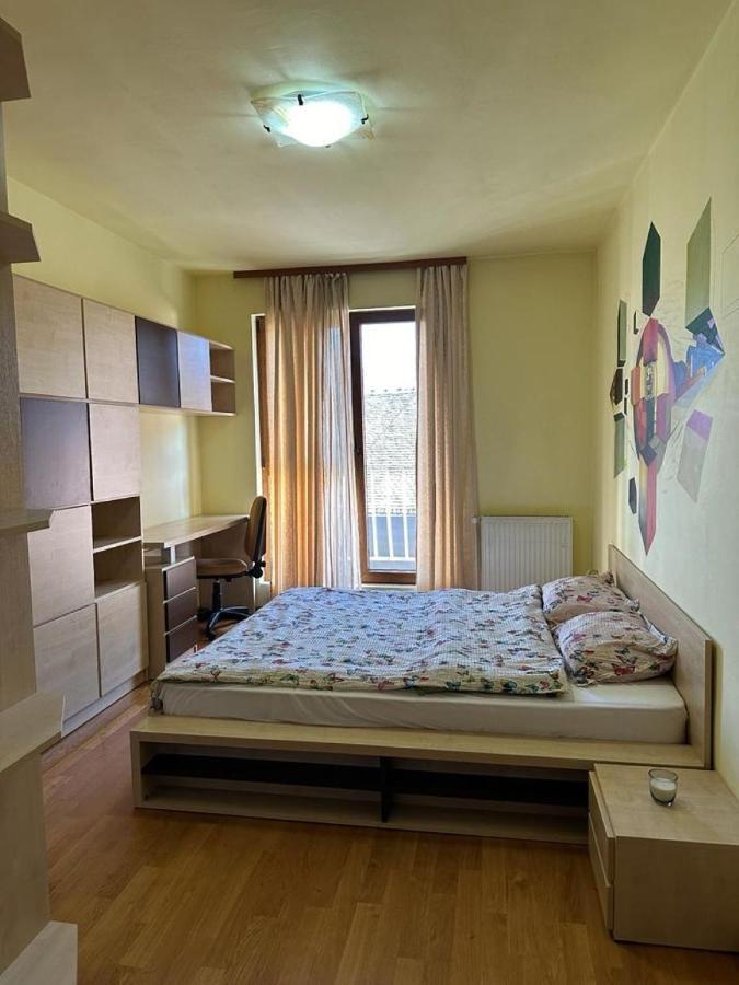 Central Apartment No1 Timişoara Exterior foto